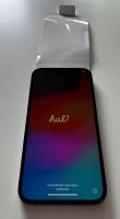 Neu iPhone 12 Pro Max 256 GB Sachsen-Anhalt - Zerbst (Anhalt) Vorschau