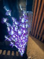 LED Lichterstrauch große Dekozweige  versch. Farben mit Ständer Köln - Kalk Vorschau