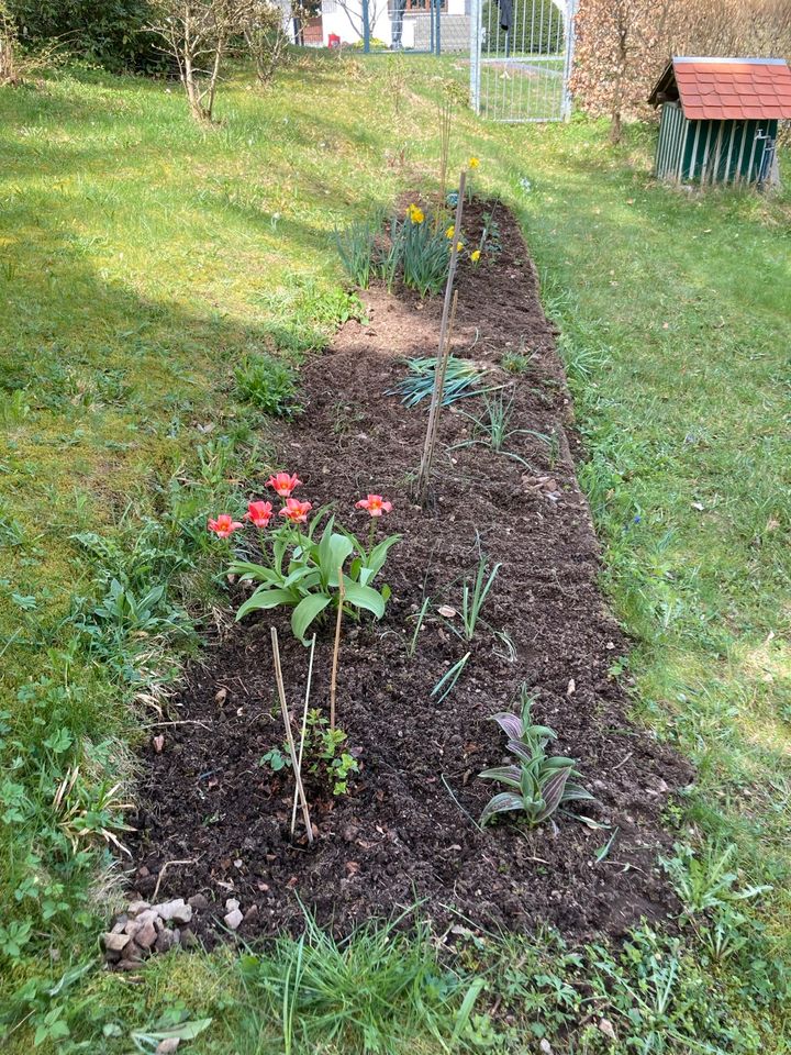 Garten Gartenhaus und Grundstück in Suhl