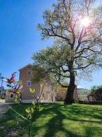 Ferienhaus im Motovun Istrien mit 2 Schlafzimmer Bayern - Farchant Vorschau