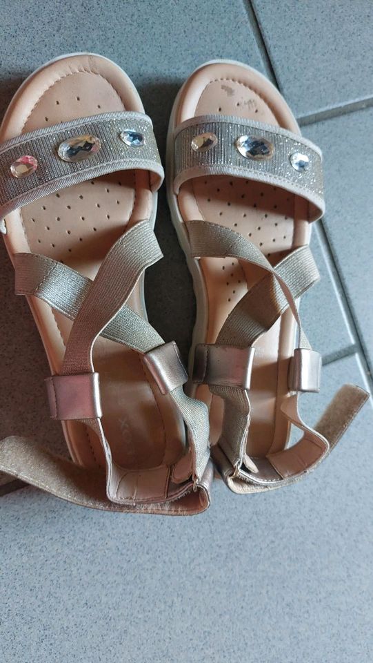 Geox 37 Sandalen Gold beige in Potsdam