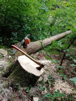 Forstbetrieb Durchforstung Holzeinschlag Rückearbeiten Brennholz Bayern - Triftern Vorschau