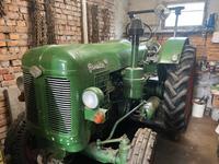 Traktor DDR Famulus 40 Wassergekühlt Sachsen - Dippoldiswalde Vorschau