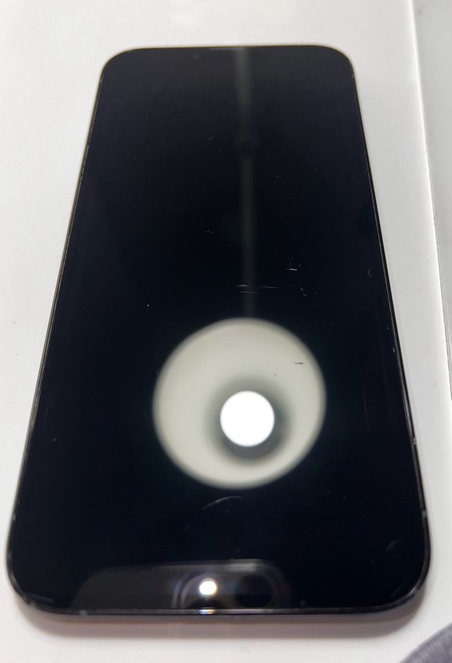 iPhone 13 Pro Max / Sierra blau in Dortmund
