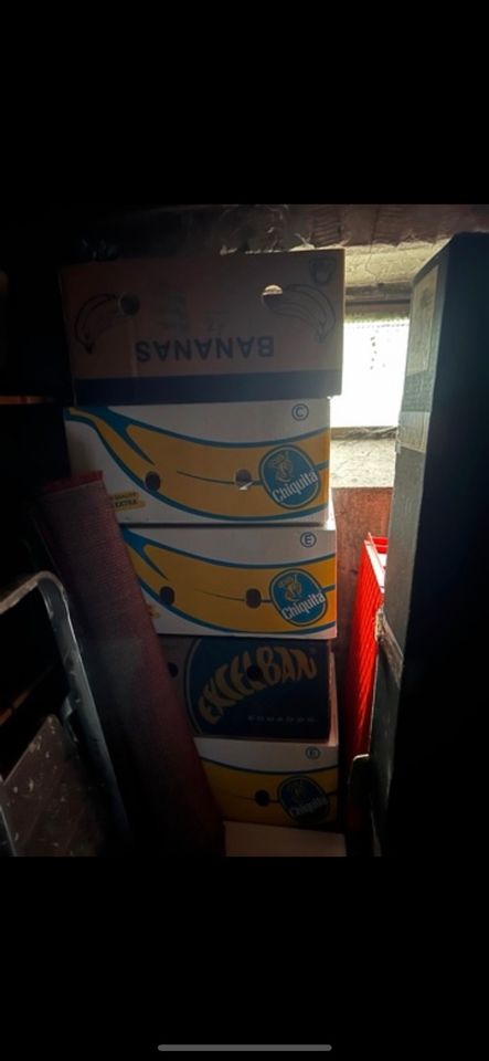 Bananenkartons zu verschenken in Hamburg
