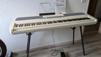 Piano Korg SP-280 Baden-Württemberg - Herrenberg Vorschau
