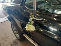 Ford Mustang mieten Hochzeitsauto, Geburtstagsgeschenk, Gutschein Niedersachsen - Hameln Vorschau