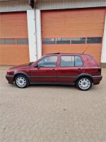 VW Golf 3 2,0 8V GTI Bj 1993 115PS Oldtimer Youngtimer TOP !!!!! Saarland - Homburg Vorschau