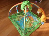 Fisher Price Spielebogen Regenwald Rainforest Dschungel Decke Niedersachsen - Wolfsburg Vorschau