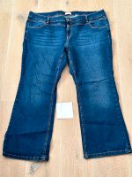 (4) Triangle Damen Jeans Hose blau Gr.52 Niedersachsen - Sickte Vorschau