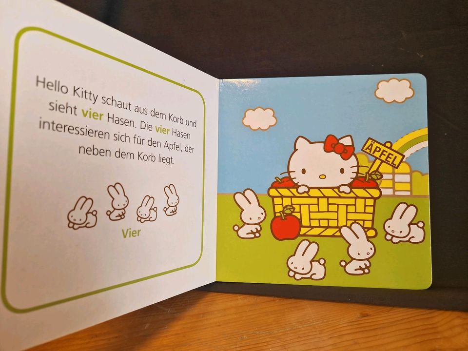 Buch Hello Kitty Zahlen in Ibbenbüren