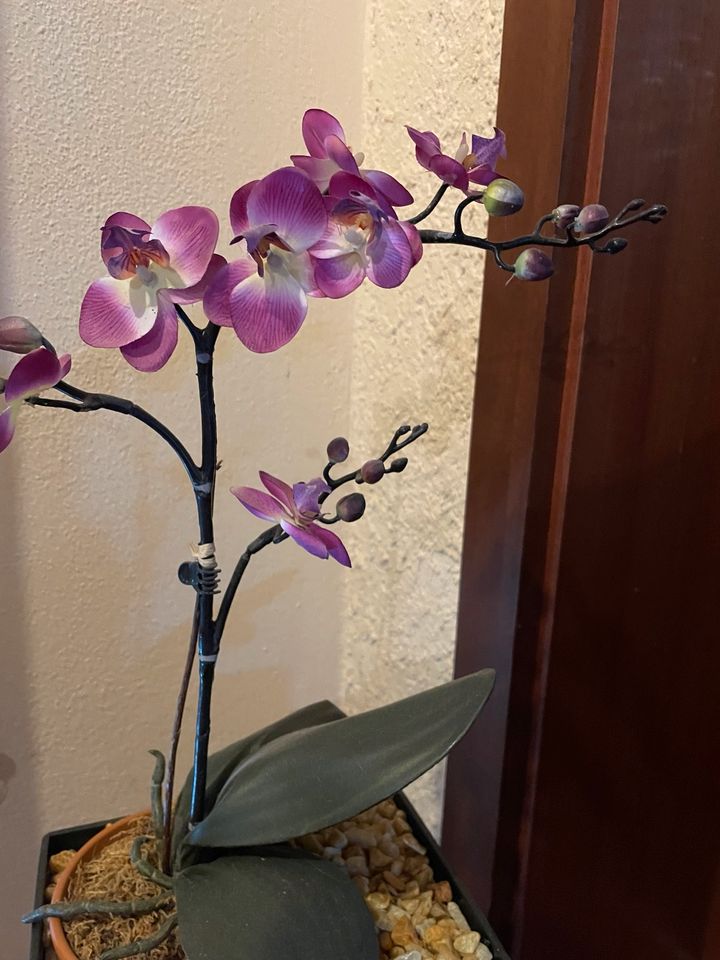 Orchidee Deko in Burgheim