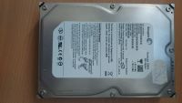 Seagate 250 GB SATA Bayern - Teisendorf Vorschau