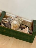 Eine Kiste voller Edelsteinen  + Muscheln Hessen - Hofheim am Taunus Vorschau