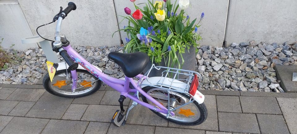 Puky Fahrrad 16 Zoll in Oschersleben (Bode)