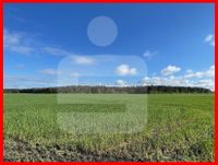 Investition in die Zukunft - Landwirtschaftliche Fläche Nähe Barver Niedersachsen - Barver Vorschau