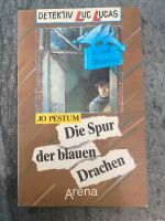 Die Spur der blauen Drachen - Buch Hessen - Schmitten Vorschau