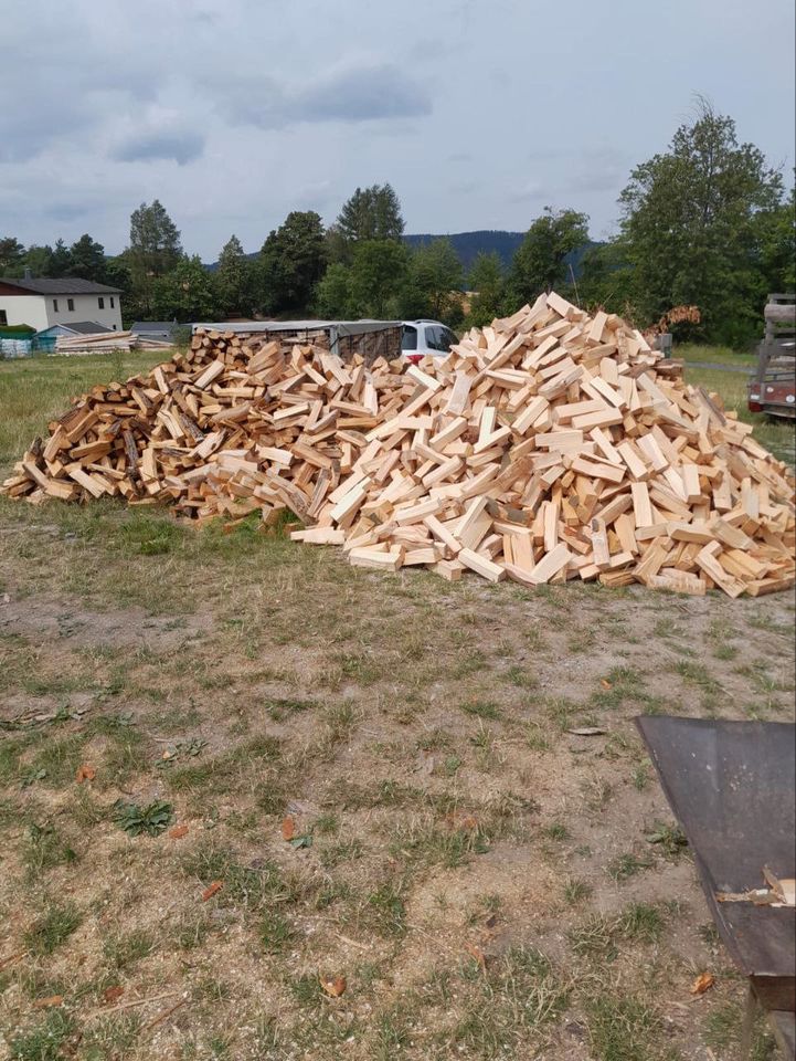 Brennholz Fichte 25 cm gesägt & gespalten, trocken Kaminholz in Saalfeld (Saale)
