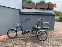 Van Raam Easy Rider Sessel Therapeutisches Dreirad manuell Baden-Württemberg - Riegel Vorschau