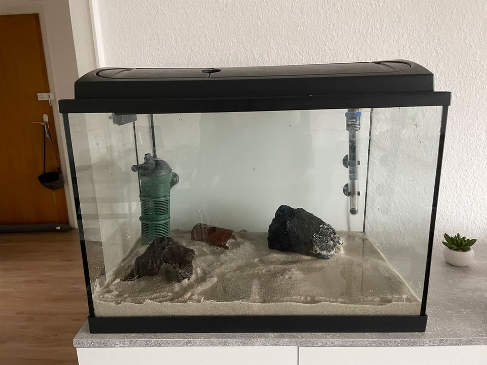 Aquarium 84L mit Filter, Lampe, Heizstab, Deko in Bochum