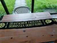 BVB SCHAL NEU Nordrhein-Westfalen - Gelsenkirchen Vorschau