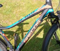 Mountainbike 27,5 Zoll Niedersachsen - Salzhausen Vorschau