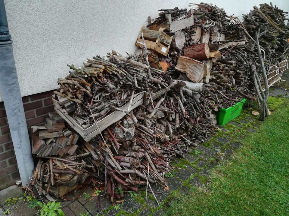 Brennholz + Anmachholz Feuerschalenholz komplett (Osterfeuer) in Bad Honnef