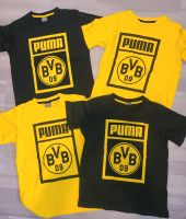 BVB Tshirts Gr. 152 (Set 4 ST) Nordrhein-Westfalen - Drolshagen Vorschau