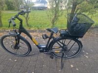 E Bike. Winora. Yamaha, Top! Sachsen - Triebel Vorschau