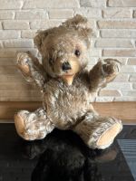 Alter Teddy mit 5 Fach Gelenken Schleswig-Holstein - Groß Vollstedt Vorschau