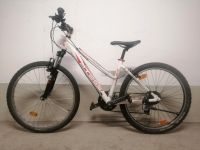 AXESS Mountainbike Trekkingbike Damenfahrrad Fahrrad 26 Zoll Kr. München - Kirchheim bei München Vorschau