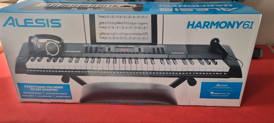 Alesis Keyboard Harmony 61 in Drelsdorf 