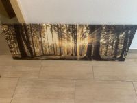 Wandbild 135x45cm Bayern - Dingolfing Vorschau