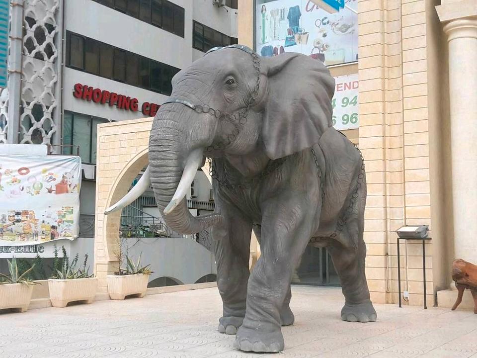 Urlaubsbegleitung Tunesien von ca. 31.10.-ca. 16.11.2025 gesucht in Berlin