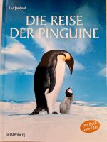 Kinderbuch Nordrhein-Westfalen - Rietberg Vorschau