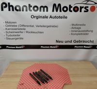 Einspritzdüse Audi VW 2,5 V6 TDI 059130201F Düse 0432133795. Niedersachsen - Vechta Vorschau