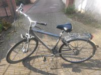 28 Zoll 8 Gang Shimano Nexus ohne Rücktrittbremse Niedersachsen - Oldenburg Vorschau