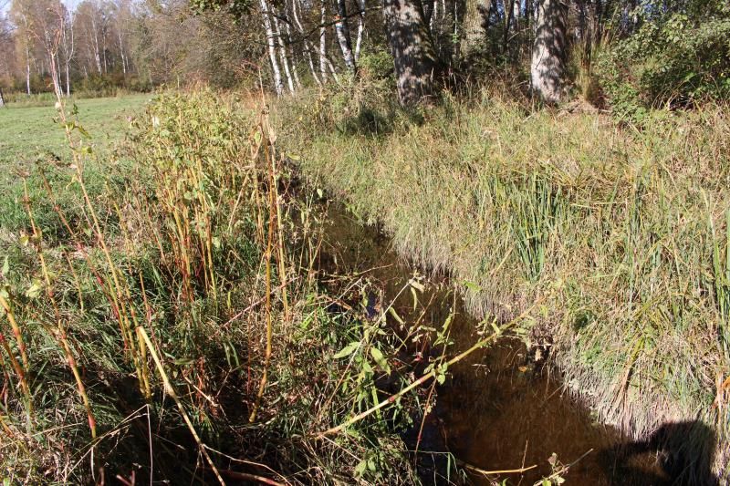 Grundstück ohne Baurecht mit Holzhütte und Bachlauf - gute Zufahrt im Weilheimer Moos in Weilheim