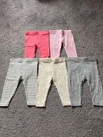 5 Leggings Grau Rosa 62/68 Lupilu *wie NEU Kiel - Russee-Hammer Vorschau