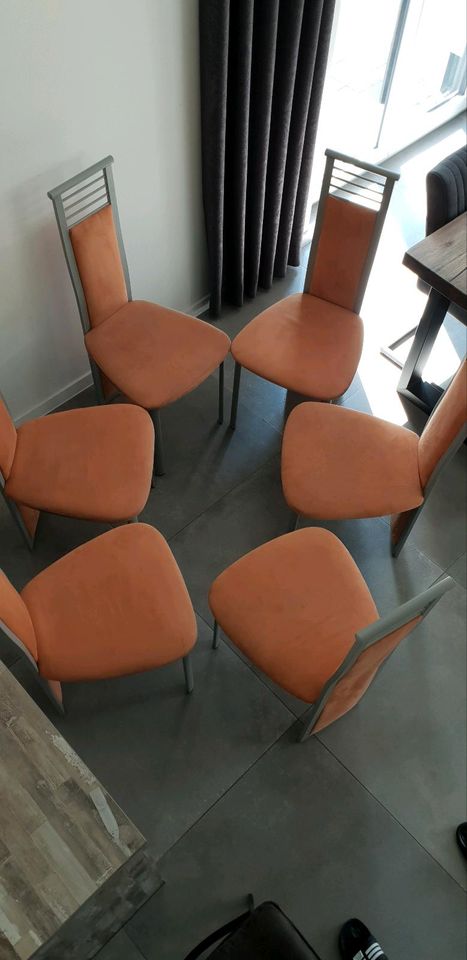 6 x Stühle Terrakotta für den Esstisch Super Zustand in Gütersloh