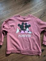 Pullover Damen/ Disney Mickey Maus/ Gr.  48/ neuwertig Hessen - Wanfried Vorschau