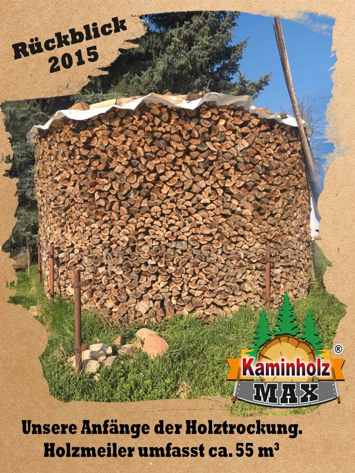 ab 4 m³ bis 35 m³ - 30 km um KEMBERG, Gräfenhainichen, Bad Schmiedeberg Kaminholz, Brennholz, Feuerholz, Holzvergaser, Kamin, Holz, Feuer, Brenn in Kemberg