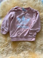 Pullover von Adidas Größe 74 Nordrhein-Westfalen - Steinheim Vorschau