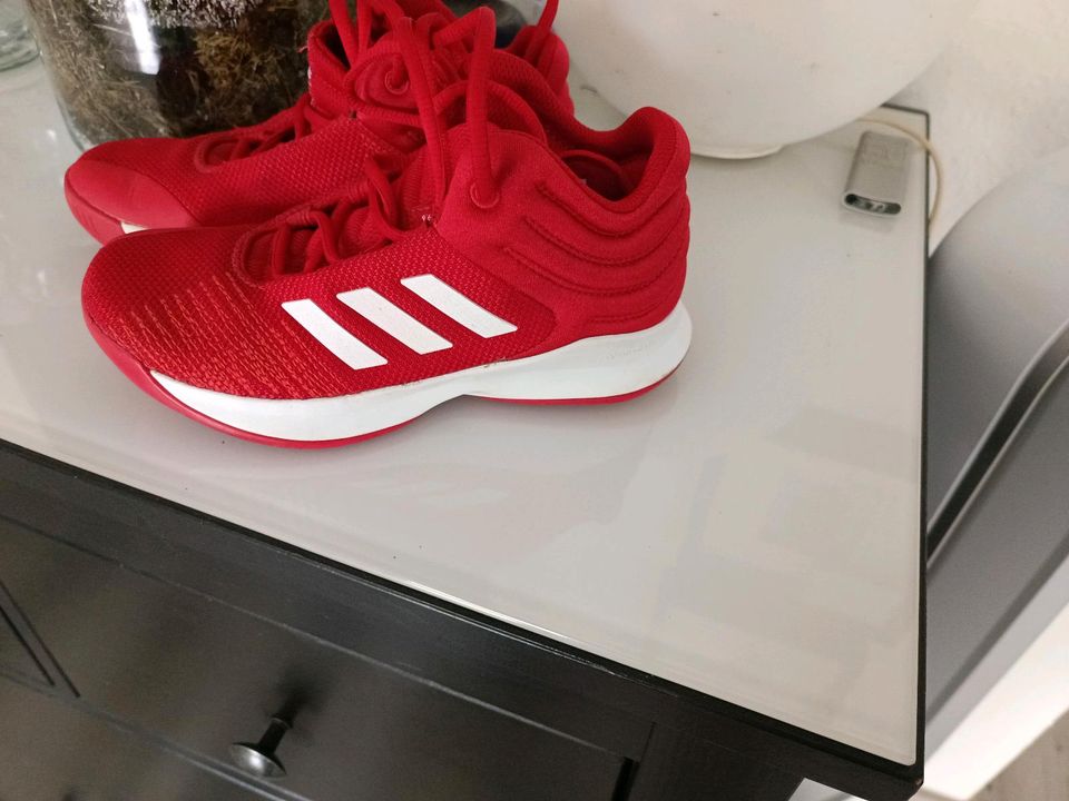 Adidas gr 33,5 in Jüchen