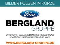 Ford Transit Custom Kasten BASIS 280L1 *Klima *Holzbo Nordrhein-Westfalen - Hennef (Sieg) Vorschau