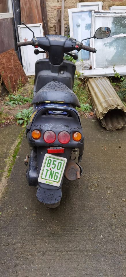 Moped Buffalo in Berlin