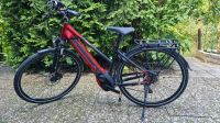 E-Bike, Pedelec Pegasus Evo 10 Lite Bayern - Forchheim Vorschau