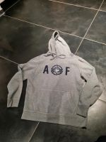 Abercrombie &Fitch Pullover Größe S Rheinland-Pfalz - Zweibrücken Vorschau