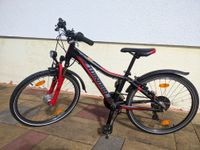 Kinder Mountainbike Zoll 24 Hessen - Stockstadt Vorschau