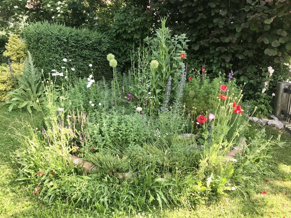 Wildstaudenbeet Nützlinge Bienen Hummeln Schmetterlinge Garten in Schwenningen